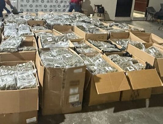 Transportaba casi una tonelada de mariguana en camión tipo torton