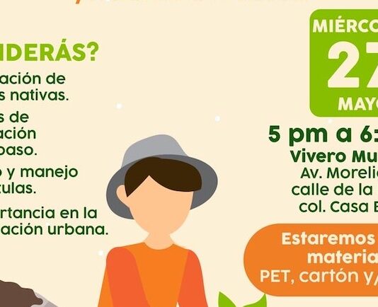 Aprende a germinar árbol nativo con taller “Una Semilla X Hermosillo” el 27 de mayo