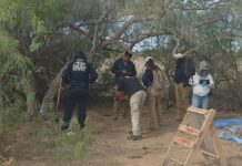 Hallan osamenta humana en el valle