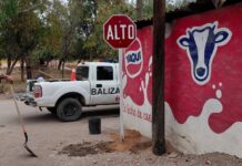 Instalan indicadores de ALTO en diversas vialidades