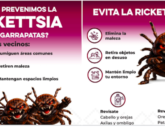 Exhortan a reforzar limpieza en temporada de calor para prevenir rickettsia