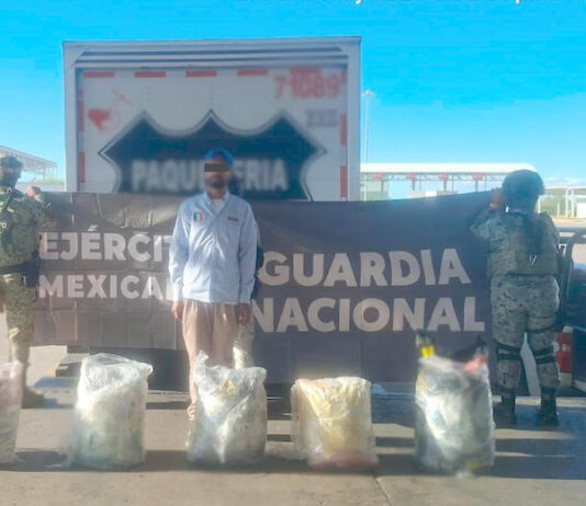Aseguran 100 kilos de pepinos de mar