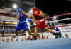 El boxeo sonorense gana tres combates