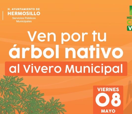 Donará Gobierno de Hermosillo árboles nativos este viernes 8 de mayo