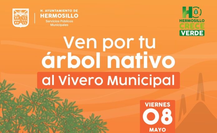 Donará Gobierno de Hermosillo árboles nativos este viernes 8 de mayo; en una jornada más para contribuir, junto a las y los ciudadanos, a la reforestación de la ciudad.