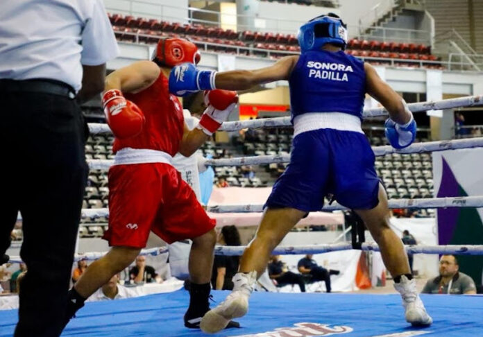 Tres pugilistas sonorenses van por oro en la Olimpiada Nacional de Boxeo; Irving Padilla, Daniel Ayala y José Páez disputarán finales en la capital nayarita.