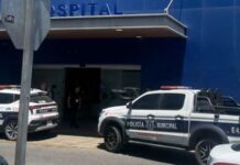 Niña es mordida por una araña viuda negra