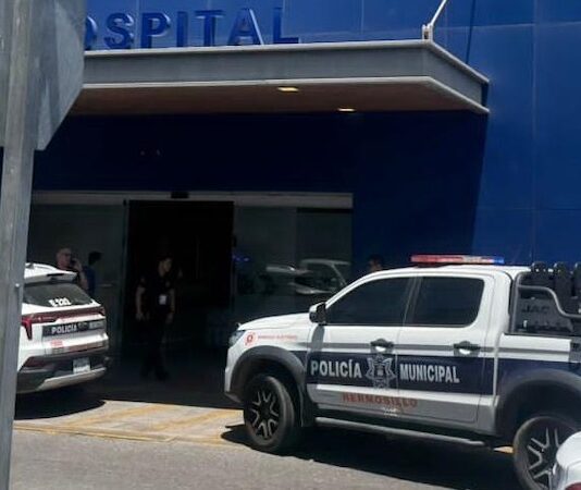 Niña es mordida por una araña viuda negra