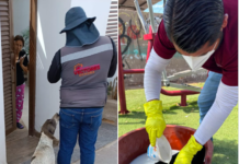 Mantienen acciones permanentes contra la rickettsia