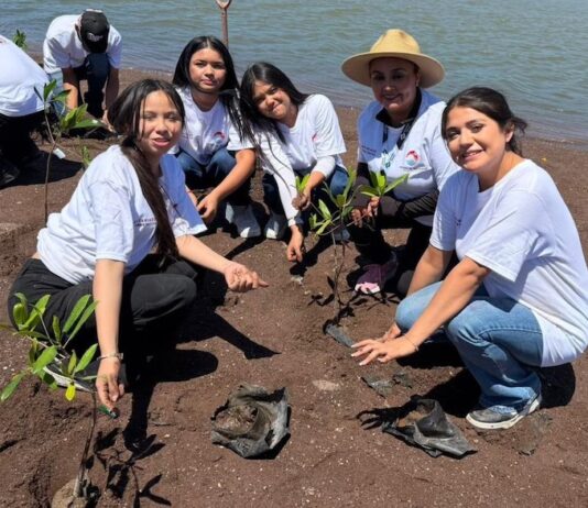Estudiantes del Conalep participan en campaña de reforestación de manglares