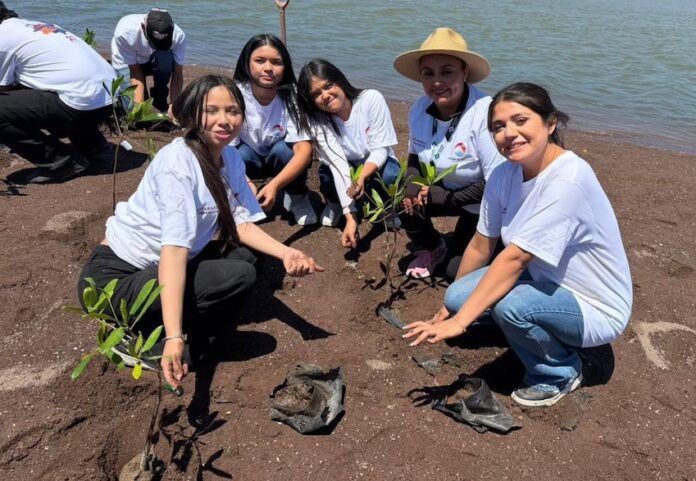 Estudiantes del Conalep participan en campaña de reforestación de manglares en la zona del Estero del Soldado, en San Carlos.