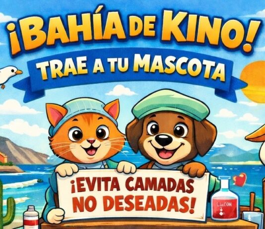 Impulsa Gobierno de Hermosillo jornadas gratuitas de castración a Bahía de Kino