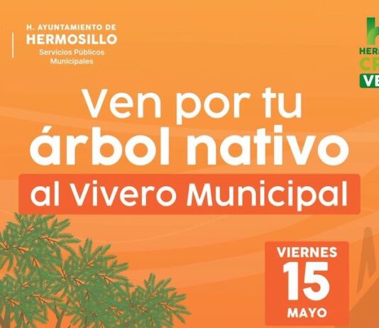 Donará Vivero Municipal 500 árboles nativos