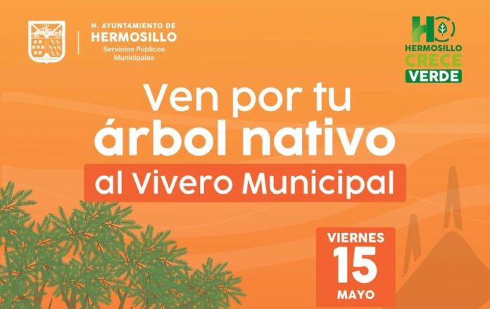 Donará Vivero Municipal 500 árboles nativos; en una jornada más para contribuir juntos a las y los ciudadanos a la reforestación de la ciudad.