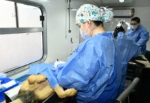 Anuncia Gobierno de Hermosillo jornadas de castraciones a perros y gatos para este mes de junio