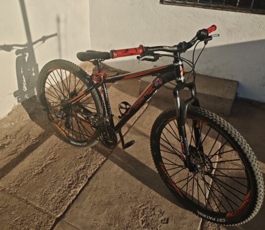Roban bicicleta en la colonia Moderna