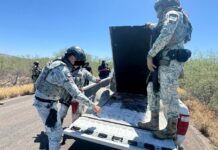 Aseguran más de 102 kilos de droga y armamento en Sonora
