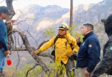 Se presenta incendio forestal en Álamos
