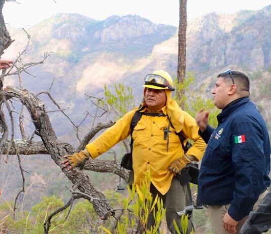 Se presenta incendio forestal en Álamos