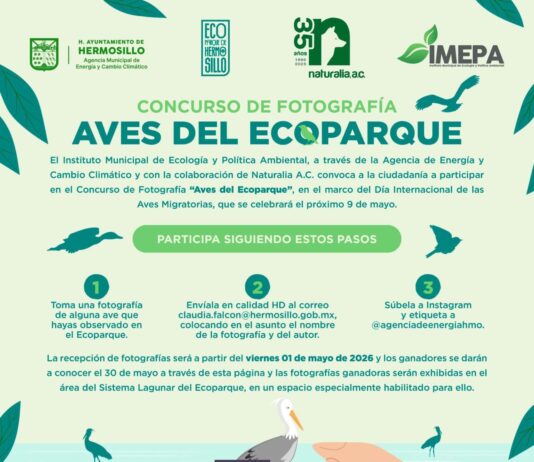Conmemora Gobierno de Hermosillo Día Internacional de las Aves Migratorias con un concurso de fotografía