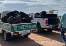 Acopia Gobierno de Hermosillo 639 llantas en Llantatón por tu Salud en La Campiña