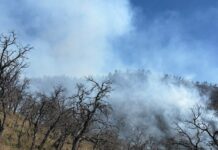 Incansable esfuerzo de más de 100 combatientes forestales en la atención al incendio forestal en Tarachi