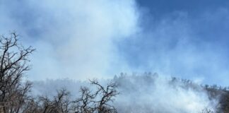 Incansable esfuerzo de más de 100 combatientes forestales en la atención al incendio forestal en Tarachi