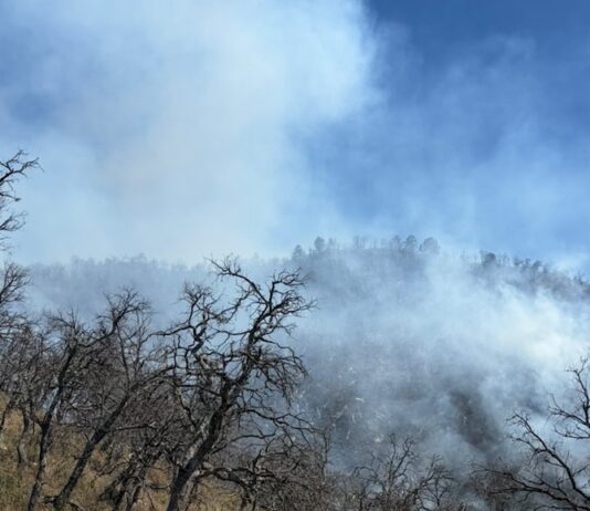 Incansable esfuerzo de más de 100 combatientes forestales en la atención al incendio forestal en Tarachi