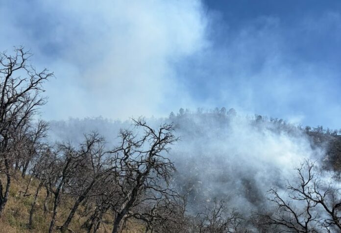 Incansable esfuerzo de más de 100 combatientes forestales en la atención al incendio forestal en Tarachi; las autoridades mantienen un monitoreo permanente de la situación y refrendan su compromiso de trabajar de manera coordinada para proteger a la población.