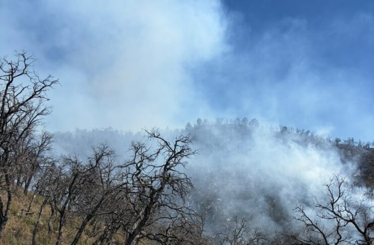 Incansable esfuerzo de más de 100 combatientes forestales en la atención al incendio forestal en Tarachi