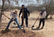 Hallan otra osamenta humana en el Graciano Sánchez