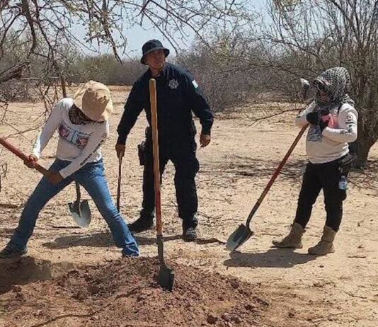 Hallan otra osamenta humana en el Graciano Sánchez