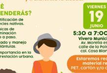 Aprende a germinar un árbol nativo con taller “Una Semilla X Hermosillo” este viernes 19