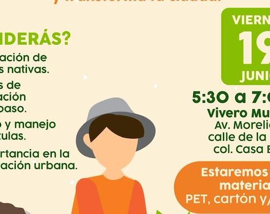 Aprende a germinar un árbol nativo con taller “Una Semilla X Hermosillo” este viernes 19