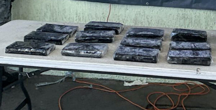 Aseguran 12 kilos de cocaína en el Precos; elementos federales detuvieron a dos personas que llevaban la droga consigo a bordo de una camioneta.