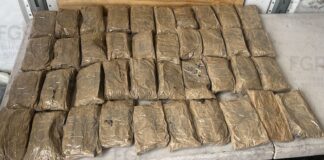 Trailero llevaba de Zapopan a Tijuana 20 kilos de heroína
