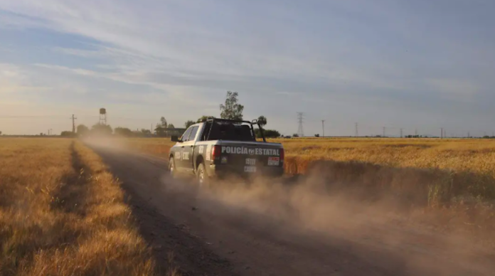 Hombre muere en enfrentamiento armado tras persecución en puente Río Colorado; el incidente ocurrió tras una huida del conductor de una pick up detectada a alta velocidad.