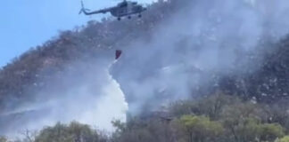Alcanzan 70 por ciento de control en incendio forestal