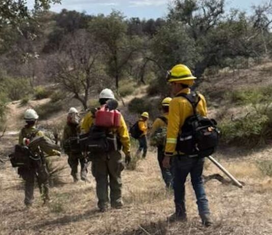 Coordinan esfuerzos binacionales para combatir incendio forestal Benton en la frontera Sonora-Arizona