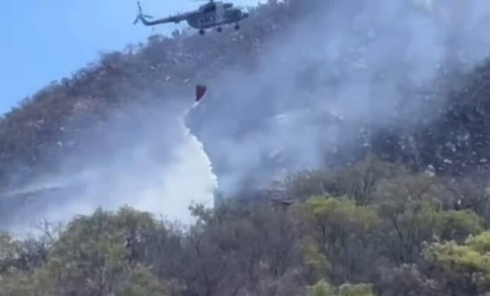 Alcanzan 70 por ciento de control en incendio forestal; siniestro denominado “La Casita”, ubicado en los límites de los municipios de Arivechi y Sahuaripa, que ya tiene más de una semana.