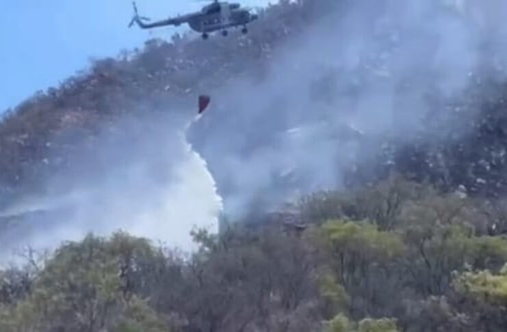 Alcanzan 70 por ciento de control en incendio forestal