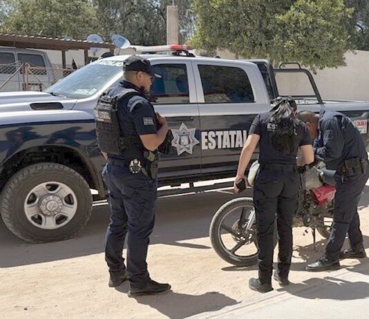 Detienen a 540 personas en acciones coordinadas de combate al delito