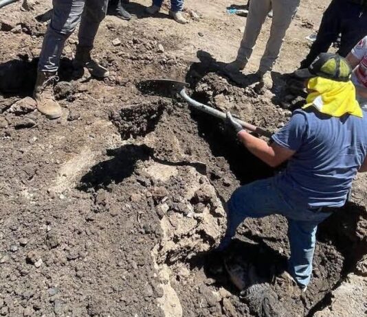 Hallan dos cuerpos en una fosa clandestina