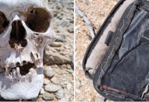 Hallan restos humanos en fosa clandestina