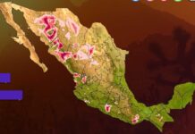 Tendrá Sonora cielos mayormente despejados sin posibilidad de lluvia