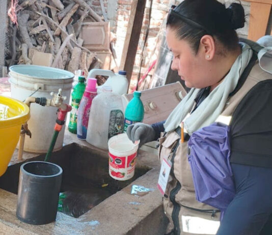 Llaman a reforzar medidas preventivas contra el dengue tras las lluvias