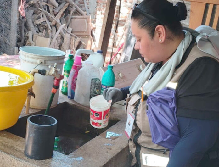 Llaman a reforzar medidas preventivas contra el dengue tras las lluvias; recomiendan aplicar la estrategia “Lava, tapa, voltea y tira” para eliminar criaderos del mosquito transmisor.