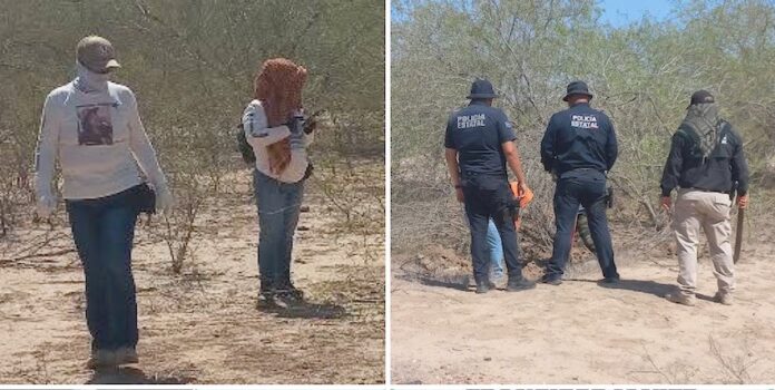 Localizan osamenta humana en el ejido ‘Mi Patria es Primero’; reporte ciudadano anónimo llevó a Guerreras Buscadoras al punto donde los restos óseos se hallaban expuestos en la superficie.