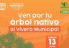 Este sábado 13 donará el Vivero Municipal 500 árboles nativos