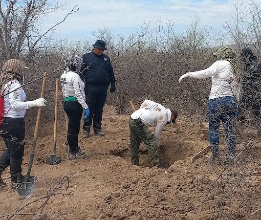 Van 33 osamentas las halladas en el Graciano Sánchez